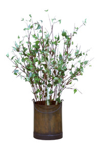 5.5 Birch in Oval Planter with Handle