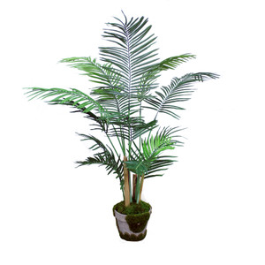 4 ft Areca Palm Tree