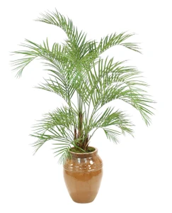 6.5' Areca Palm Tree in a Glazed Mocha Egg Pot