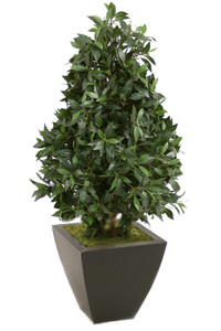 4.5' Laurel Pear-Shaped Topiary in Graphite Metal Contempo Planter