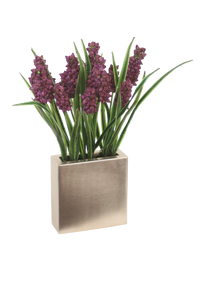 Grape Hyacinth in Silver Cubist Planter