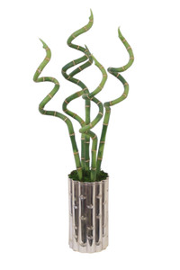 Curley Bamboo In Silver Bamboo Styled Vase