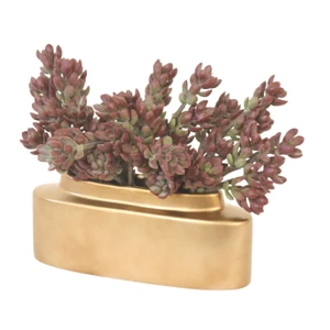 Sedum in Slim Gold Pot