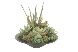 Succulent Garden in Black Planter