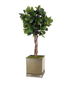 7.5' Fiddle Leaf Tree in  Emery Planter with Iron Stand