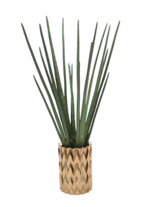 Sanseveria in Zig Zag Earthenware Vase