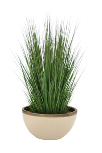 Green Grass in Shellish Sand Earthenware Oval Vase with Bronze Rim