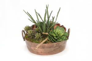 Mixed Succulents in Round Copper Planter
