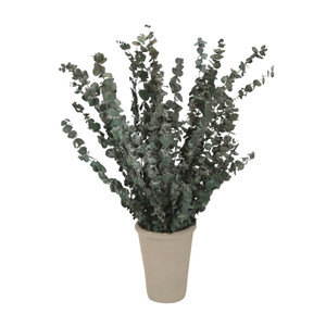 Dried Eucalyptus in Grey Pot