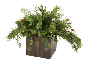 Cedar and Pine Boughs in Brown Wood Box