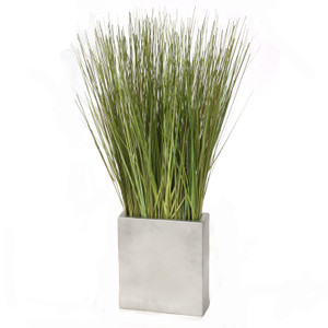Grass in Silver Cube Planter