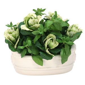 Kale with Basil in White Oval Planter