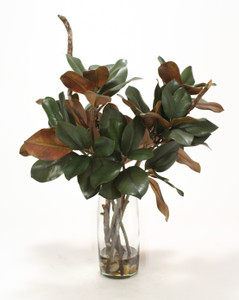 Magnolia Foliage and Branches in Glass Cylinder