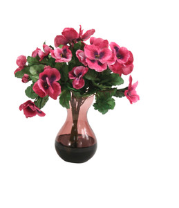 Pink Pansy Bush in Violet Bulb Forcer (2 Pc Set)