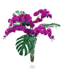 Philo Leaves, Orchid Phaleonopsis in Trumpet Vase with Gold Trim