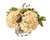 Beige Hydrangeas, Brown Hypercum Berries in Square Glass Vase
