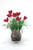 Mauve Crocus in Glass Flower Pot