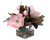 Soft Pink Magnolia Blooms And Foliage In Square Glass Vase