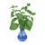 Basil in Blue Bulb Glass Vase (Set of 3)