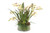 Green Vanda Orchids with Moss  in Glass Cylinder