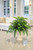 Hosta anf Fern in Beige Planter