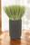 Grass in Black Fiberstone Floor Planter