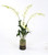 Waterlook  White Dendrobium Orchid Plant with Moss in Glass Cylinder