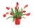 Waterlook  Red Tulips in Red Glass Vase