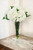White Hydrangea in Trumpet Vase