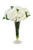 White Hydrangea in Trumpet Vase