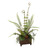 Fern Mix in Basket