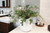 Mini Ivy in Haven White Planter (Set of 3)