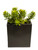 Succulents in Tall Metal Pillow Vase (Set of 2)