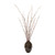 Pussy Willow, Willow branches in  Stoneware vase