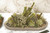 Succulent with Buxfliua and Brunia in Wood Oval Bowl