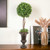 Round Topiary in Brown Urn