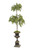 Cedar Topiary in Bronze Urn with Handles