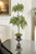Cedar Topiary in Bronze Urn with Handles