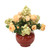 Cream Yellow Roses Mixed with PeeGee Hydrangeas in Oxblood Red Planter