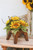 Yellow Sunflowers on Wooden Stand