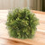Cedar Pine Ball with Green Berries
