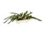 Long Needle Pine with Cream Berries in White Box