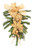 Small Pine Swag with Gold Poinsettia, Oranment and Gold Bow