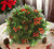 Mixed Pine Ball with Berries