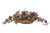 Burgundy Gold Maple Leaves in Gold Ritz Bowl