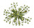 6" Hanging Jewel Snowflake Green (Sold in Multiples of 24)