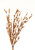 26" Glitter Berry Bamboo in Metallic Bronze Copper (Sold in Multiples of 6)