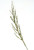 49" Sequined Bamboo Spray in Green (Sold in Multiples of 12)