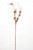 35" Pearlized Bead/Sequin Berry Spray Gold Brown Chocolate (Sold in Multiples of 12)