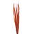 PALM  LONG BURNT OAK PALM (10 pieces in bundle)